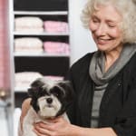 dog groomer& start your own business level 3