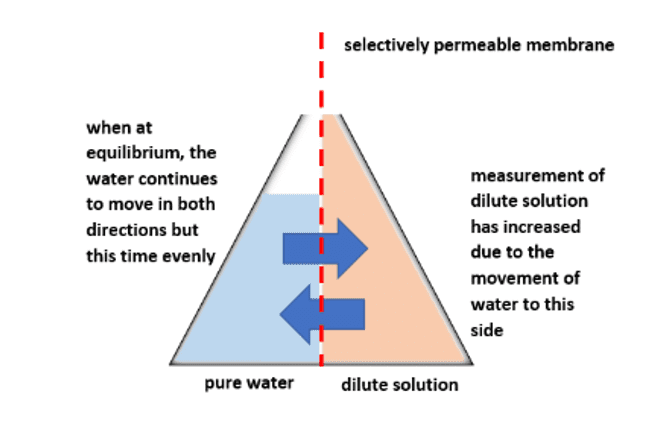 Equilibrium Equilibrium