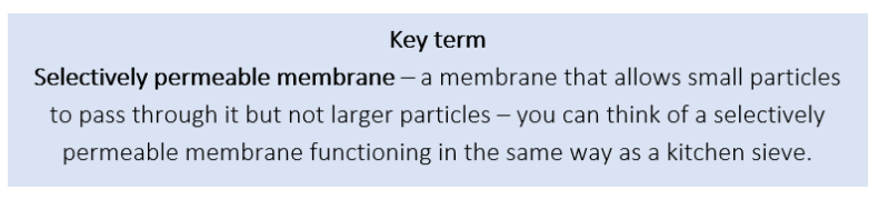 Selectively permeable membrane Selectively permeable membrane