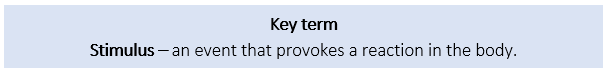 Stimulus key words Stimulus key words