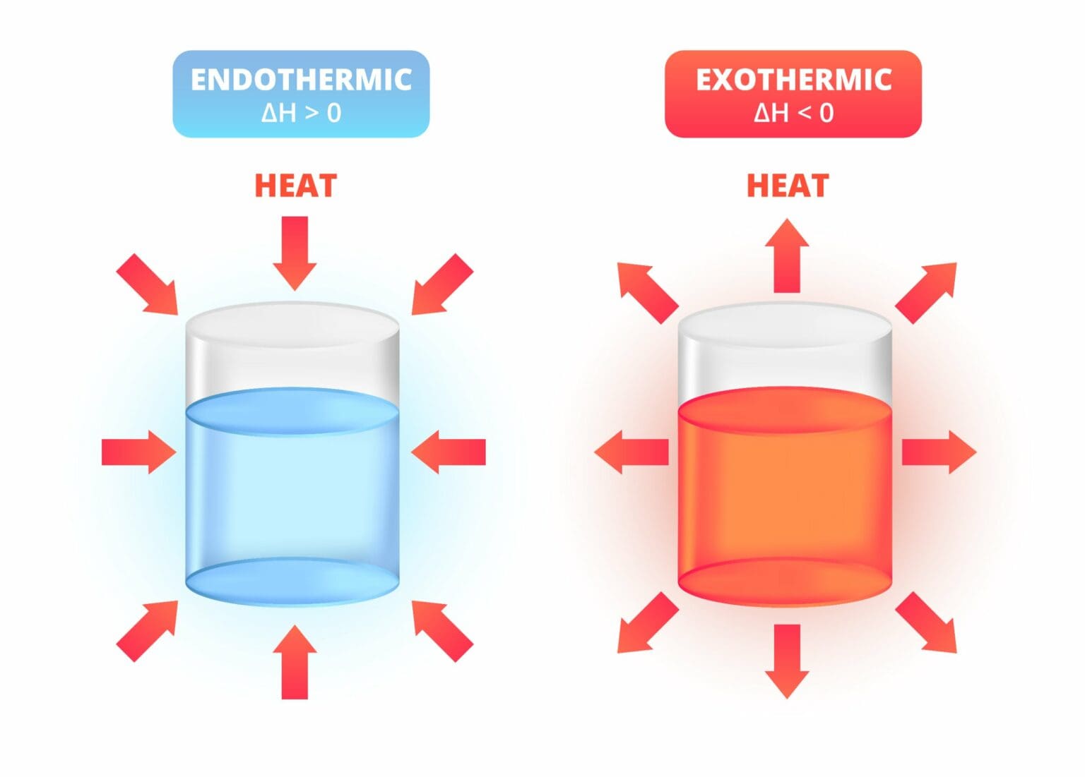 Exothermic and endothermic reactions Key differences