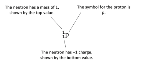 The Proton