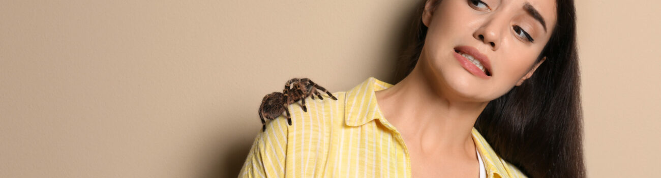 Arachnophobia – fear of spiders