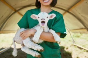 how to write magazine article gcse The Benefits of Working With Animals