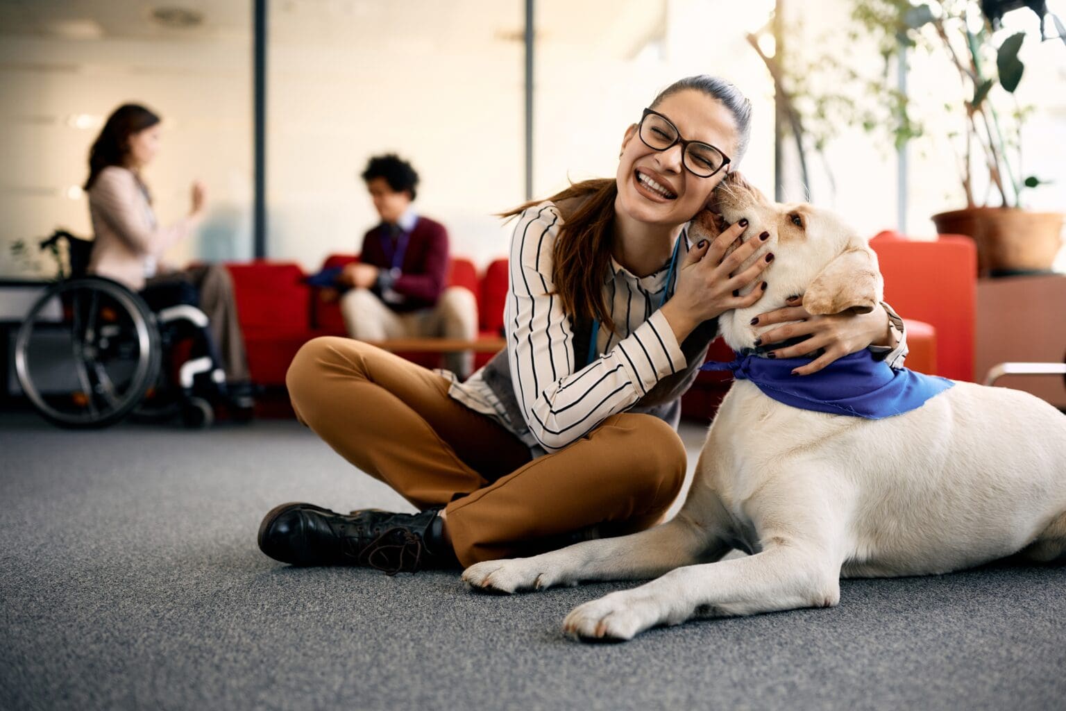 discover-the-benefits-of-animal-assisted-therapy