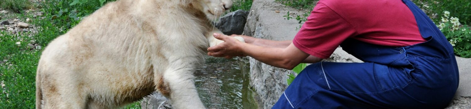 A Day in the Life of a Zookeeper